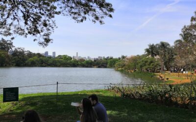 Parque Ibirapuera und eine Demo